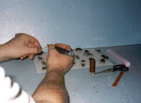 Preparing the trunk