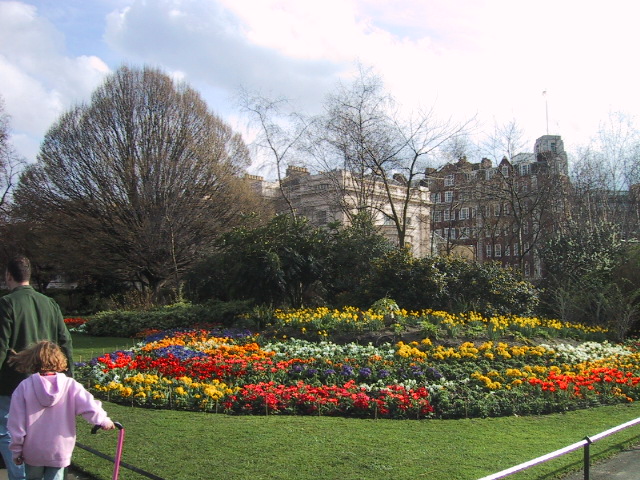 The flowers in Regent's Park were in full bloom, something we wouldn't normally see at home in March.